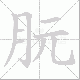朊的笔顺写法