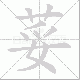 荽的笔顺写法
