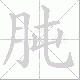 肫的笔顺写法