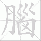 腦的笔顺写法