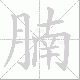 腩的笔顺写法