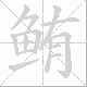 鲔的笔顺写法