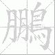 鵬的笔顺写法